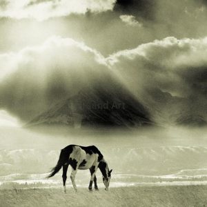 Bruno Engler-Lone Pinto