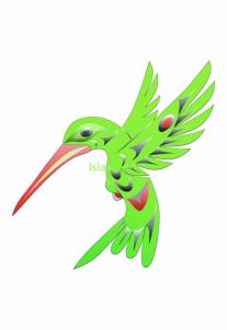 Doug LaFortune-Hummingbird