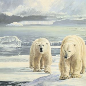 Lissa Calvert-Masters of the Arctic