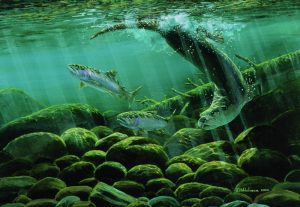 Mark Hobson-Otters Chasing Rainbow