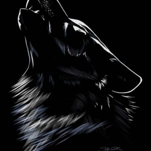 Stefanie Clark - Wolf Howl