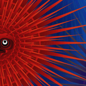 Andy Everson-Masi'Kw