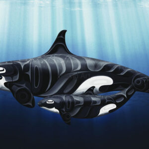 Andy Everson-Protection